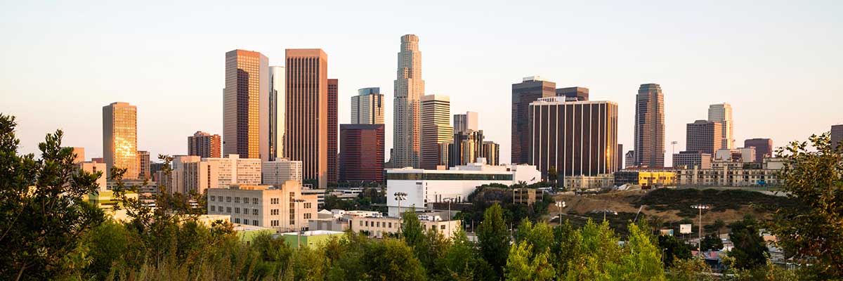 photo of skyline of Los Angeles